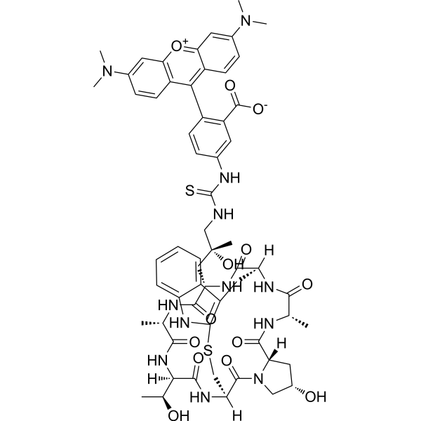 CAS 915013-10-4  Phalloidin-TRITC