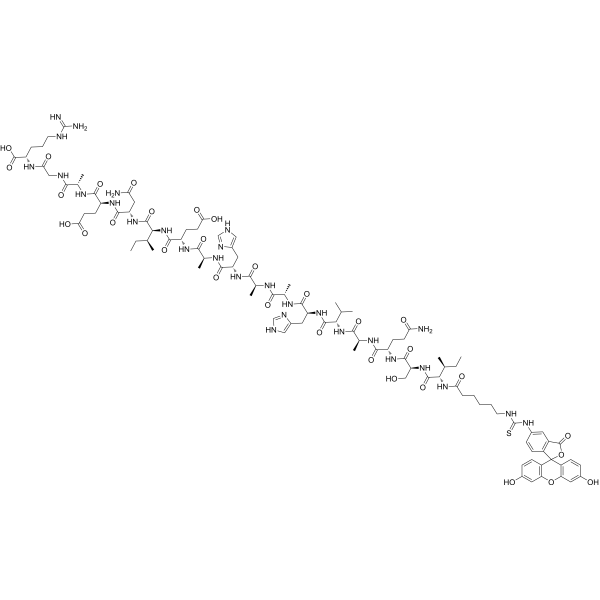 FITC-OVA (323-339)