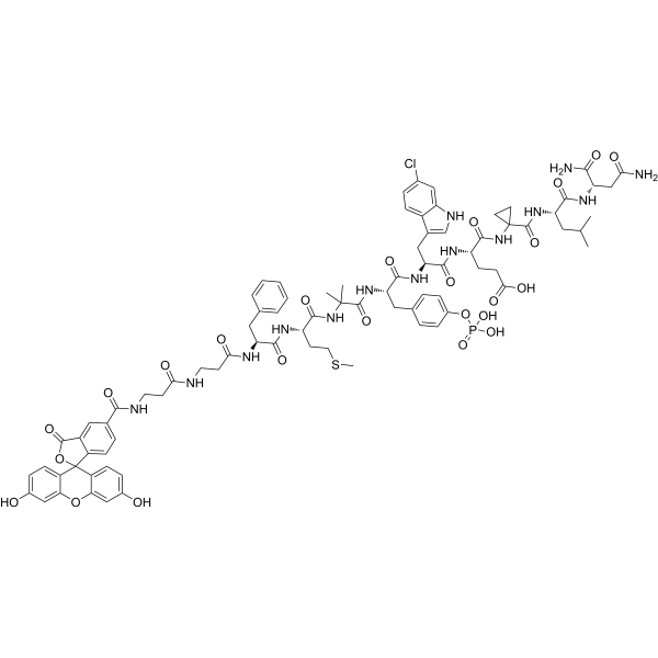 5-FAM-PMDM6