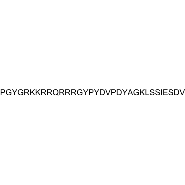 Tat-HA-NR2B9c