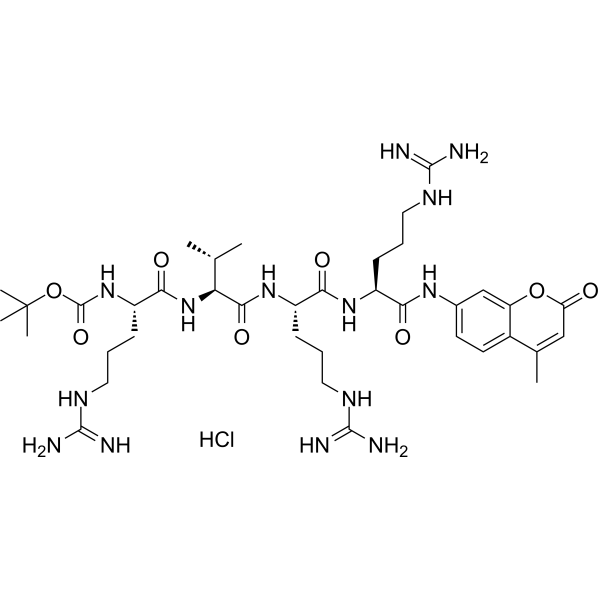 CAS 136132-77-9  Boc-Arg-Val-Arg-Arg-AMC hydrochloride
